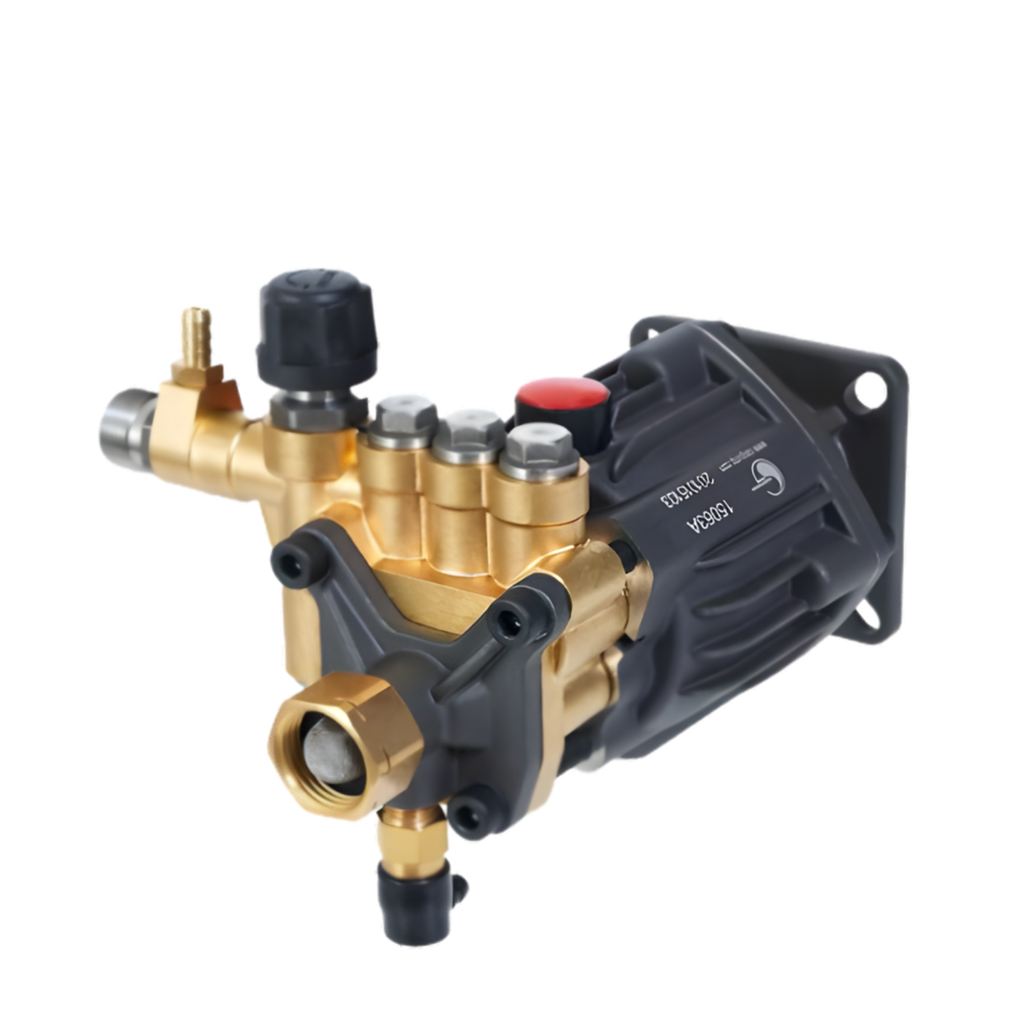 CANPUMP CH 2830 G, HORIZONTAL PUMP 3/4 INCH, 2800 PSI